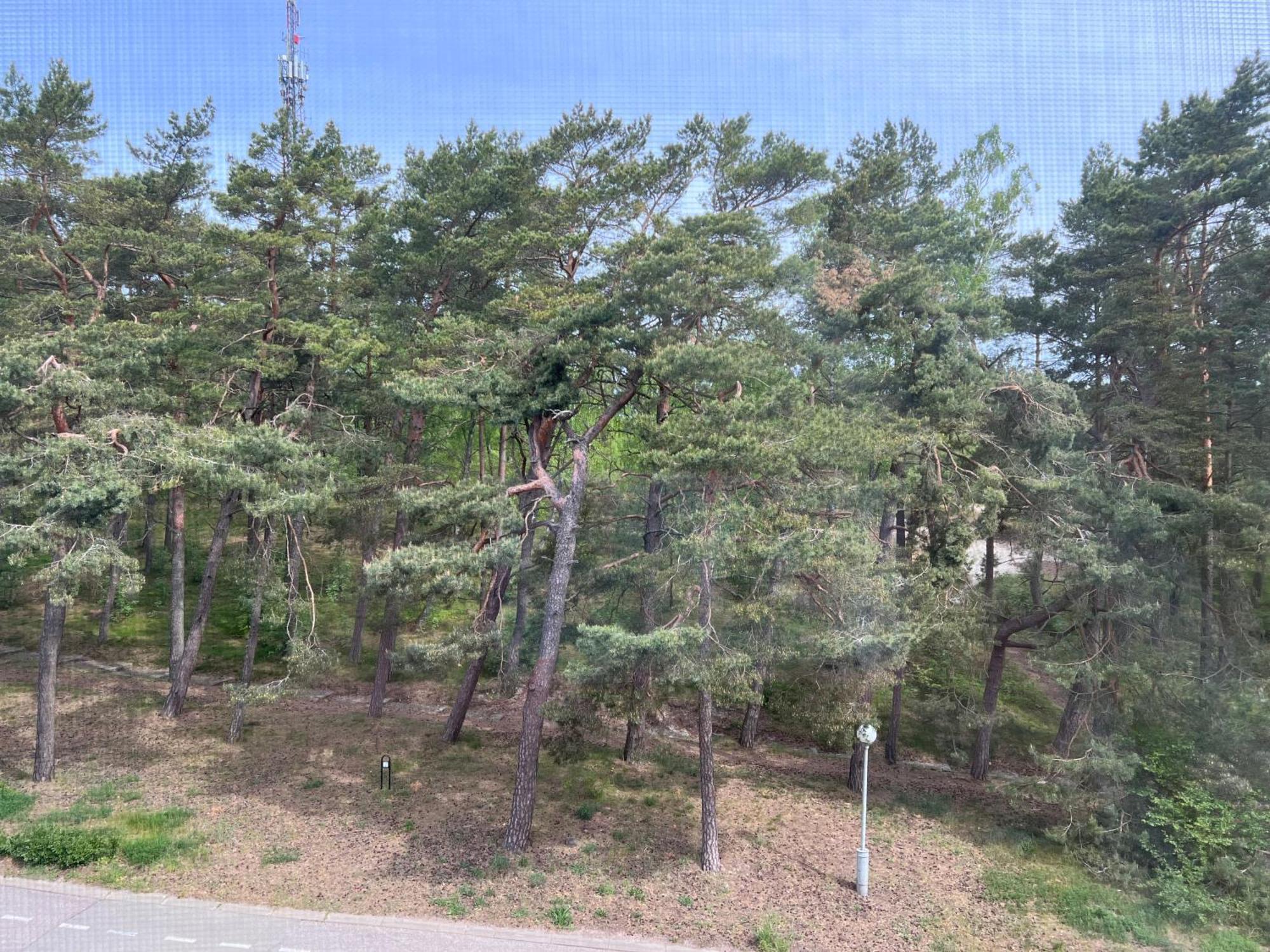 Apartamentai Stuoke * Nida